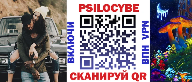 Псилоцибиновые грибы Psilocybe  Купить где  Звенигово 